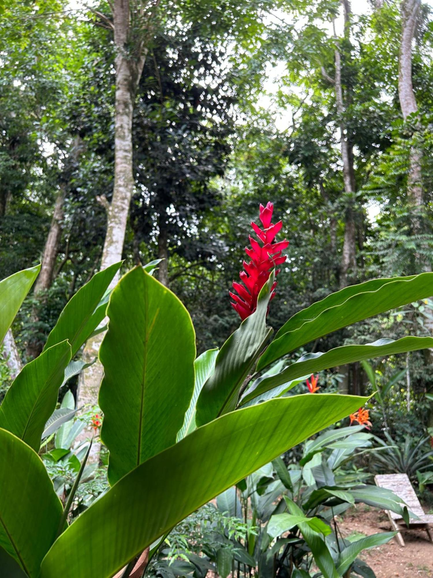 Chale Ouro Verde Angra dos Reis Kültér fotó